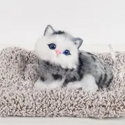 Dash Decoration Kitty